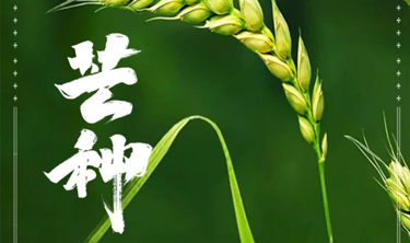 金沙娱场城8303(中国)有限公司官网