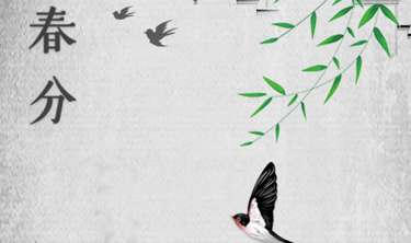 金沙娱场城8303(中国)有限公司官网